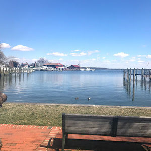 Meet your Posher, Dawn